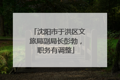 沈阳市于洪区文旅局副局长彭勃，职务有调整